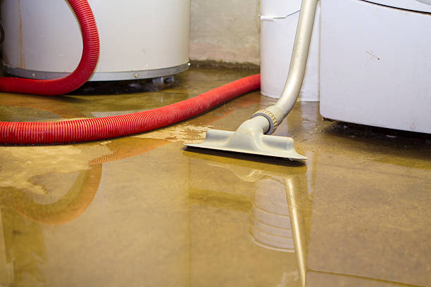 Reliable Braddock Hills, PA Water damage restoration Solutions